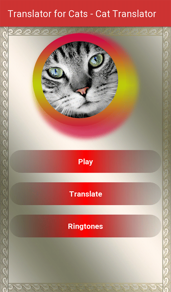 ứng dụng dịch tiếng mèo