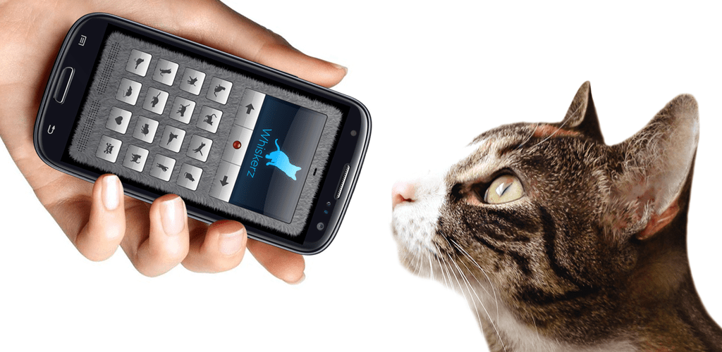 Độc lạ ứng dụng phiên dịch tiếng người sang tiếng mèo