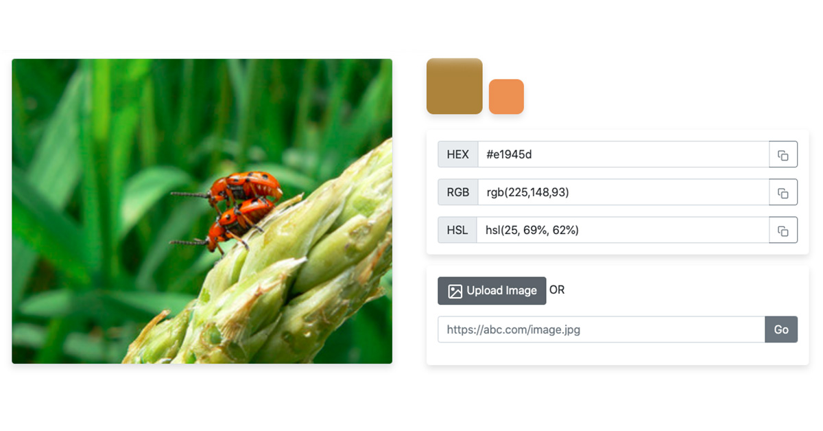 Color picker from image - Lấy mã màu từ ảnh online 2022