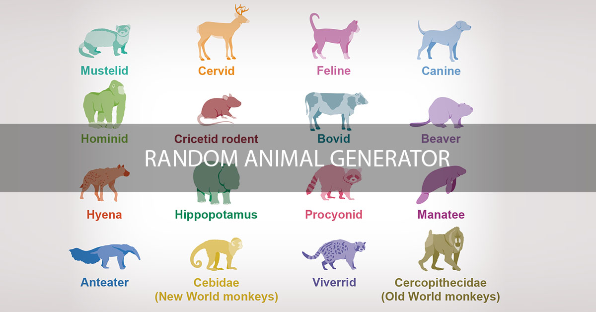 Random Animal Generator • Động vật ngẫu nhiên 2022