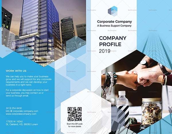 Dịch Company Profile song ngữ