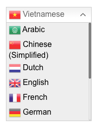 Dịch website tự động với Google Translate